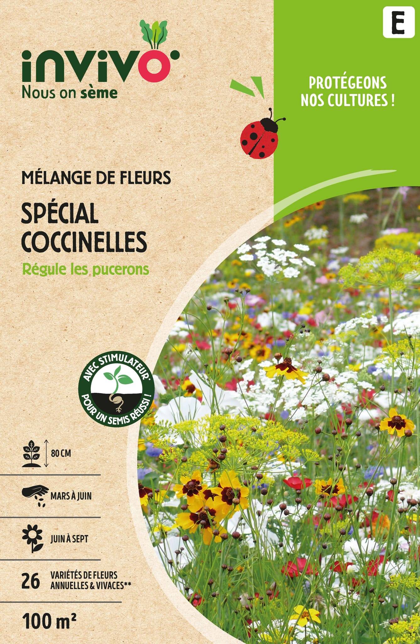 Invivo Nous On Sème - Semences mélange de fleurs spécial coccinelles 100 m2 - INVIVO Nous on sème - Image 1