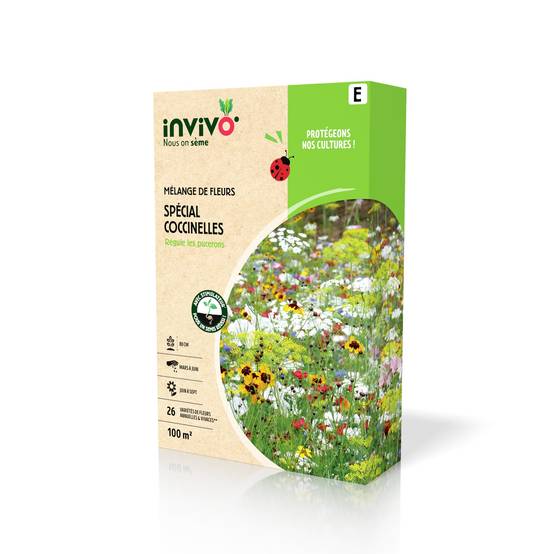 Invivo Nous On Sème - Semences mélange de fleurs spécial coccinelles 100 m2 - INVIVO Nous on sème - Image 2