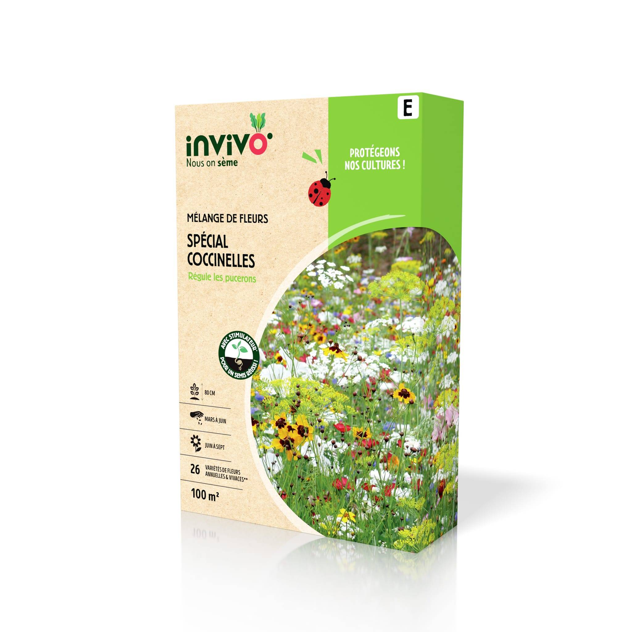 Invivo Nous On Sème - Semences mélange de fleurs spécial coccinelles 100 m2 - INVIVO Nous on sème - Image 2