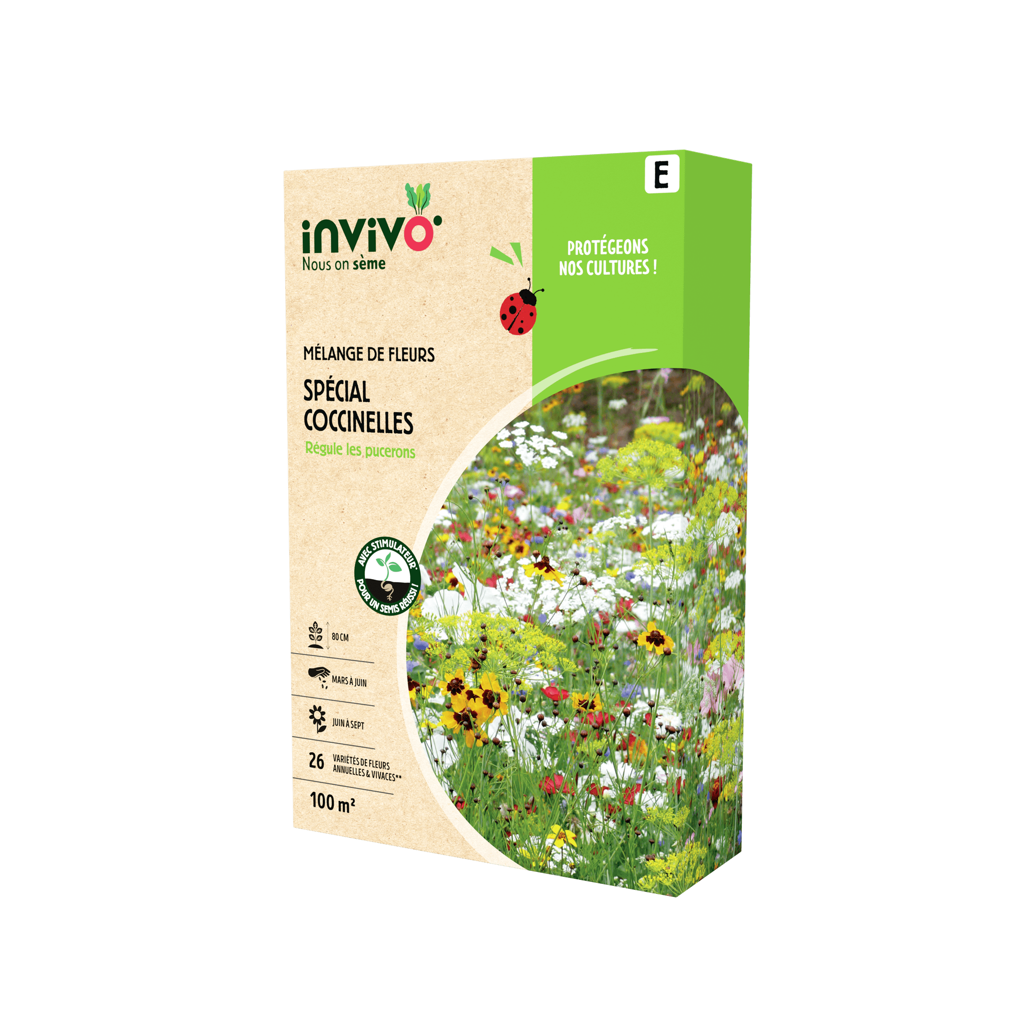 Invivo Nous On Sème - Semences mélange de fleurs spécial coccinelles 100 m2 - INVIVO Nous on sème - Image 5