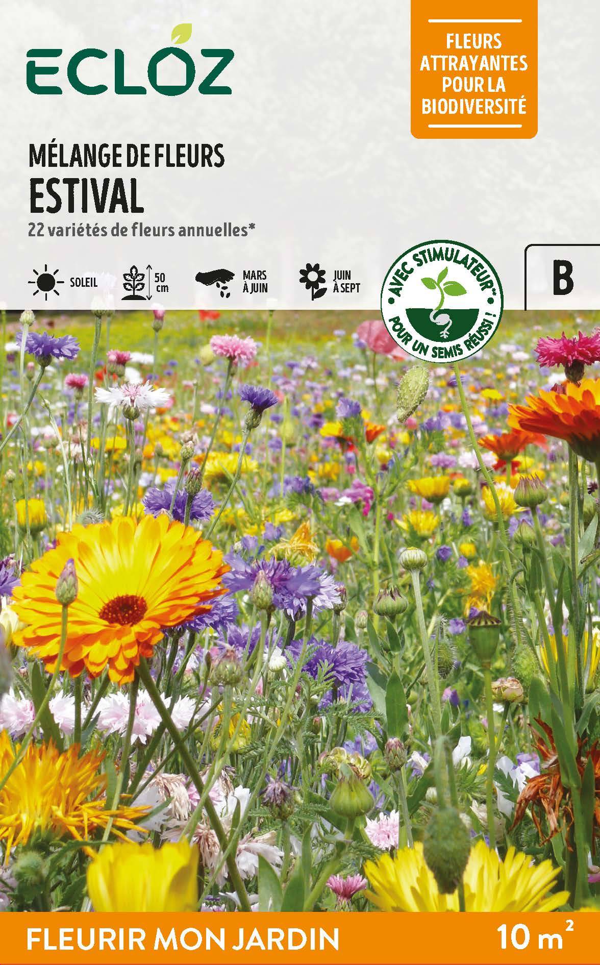 Ecloz - Semences mélange de fleurs estival 10 m2 - ECLOZ