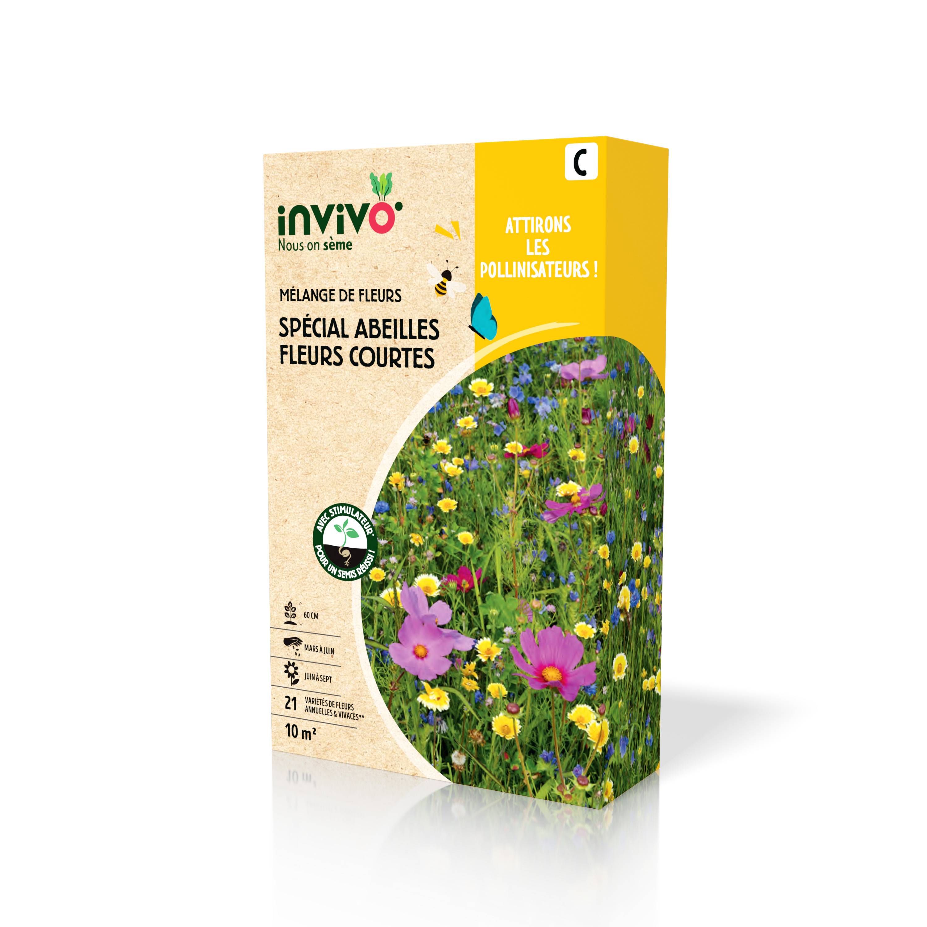 Invivo Nous On Sème - Semences Mélange de fleurs spécial abeilles fleurs courtes 10 m2 - INVIVO Nous on sème - Image 3