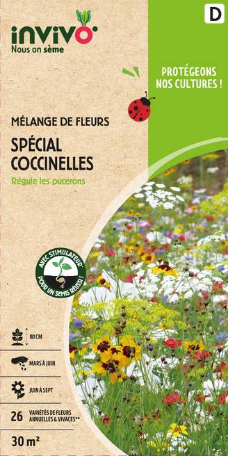 Invivo Nous On Sème - Semences mélange de fleurs spécial coccinelles 30 m2 - INVIVO Nous on sème