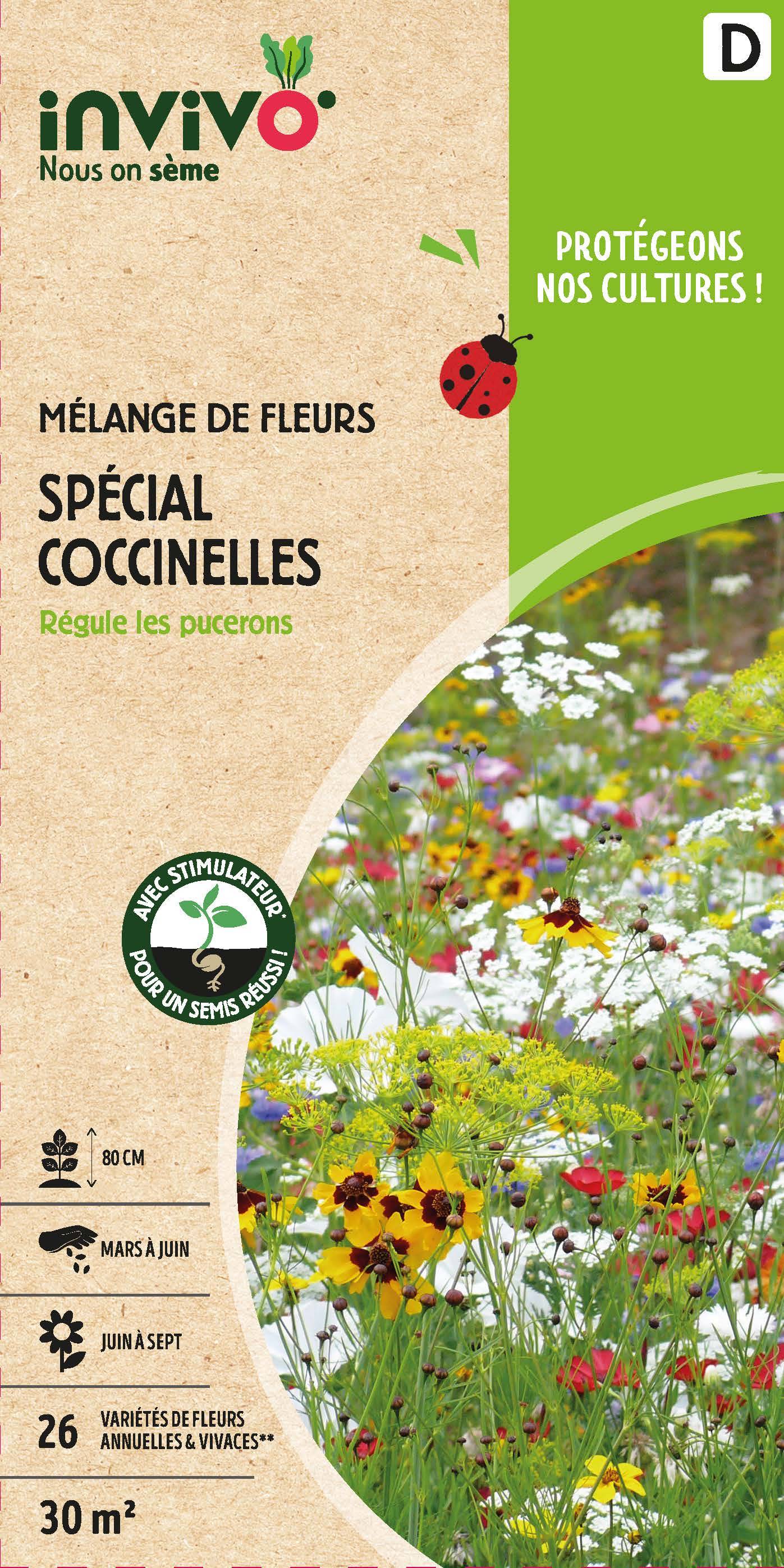 Invivo Nous On Sème - Semences mélange de fleurs spécial coccinelles 30 m2 - INVIVO Nous on sème