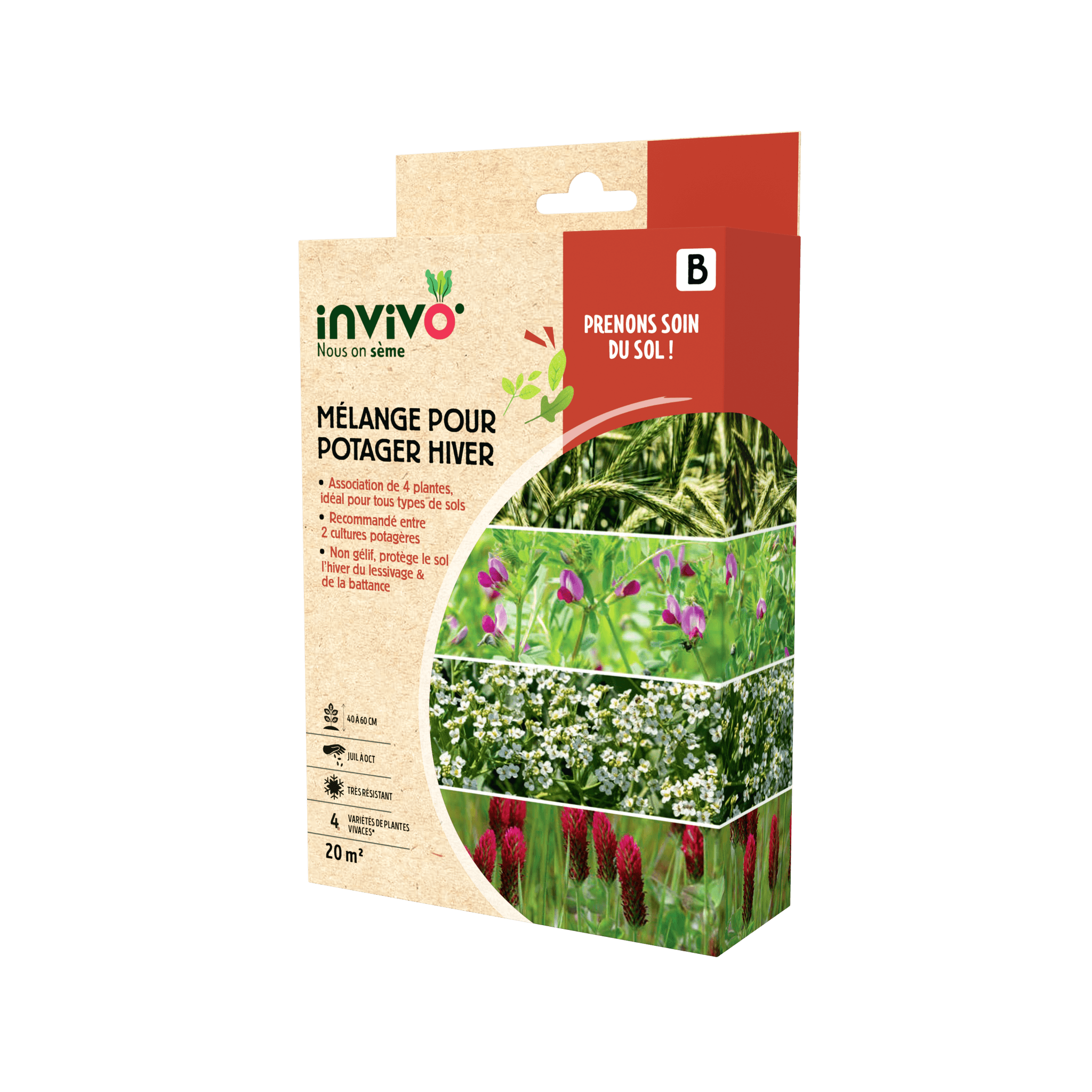 Invivo Nous On Sème - Semences mélange potager hiver 20 m2 - INVIVO Nous on sème - Image 2