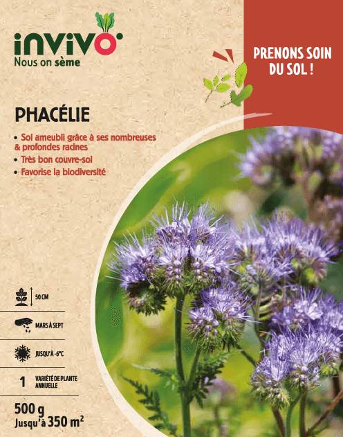 Invivo Nous On Sème - Semences de phacélie 500 g - INVIVO Nous on sème