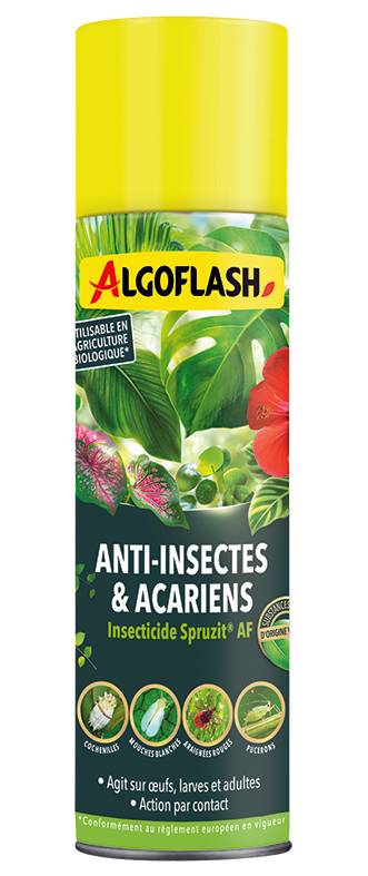 Algoflash - Insecticide plantes d'intérieur aérosol 200 mL - Algoflash
