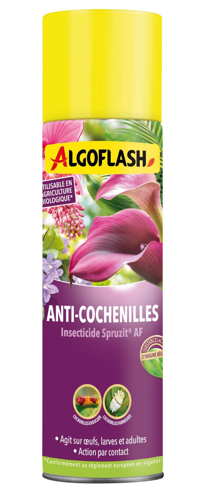 Algoflash - Insecticide spécial cochenilles plantes d'intérieur aérosol 200 mL - Algoflash