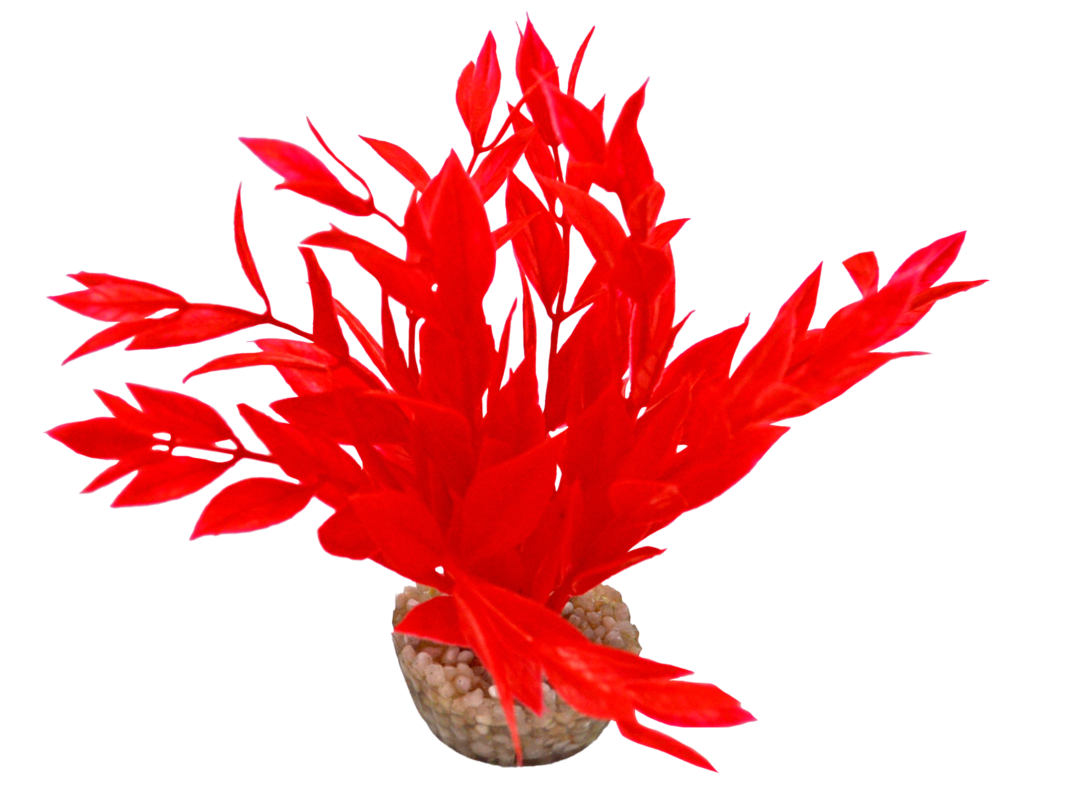 Labéo - Plante artificielle Dracaena rouge - H.14 cm - Labéo