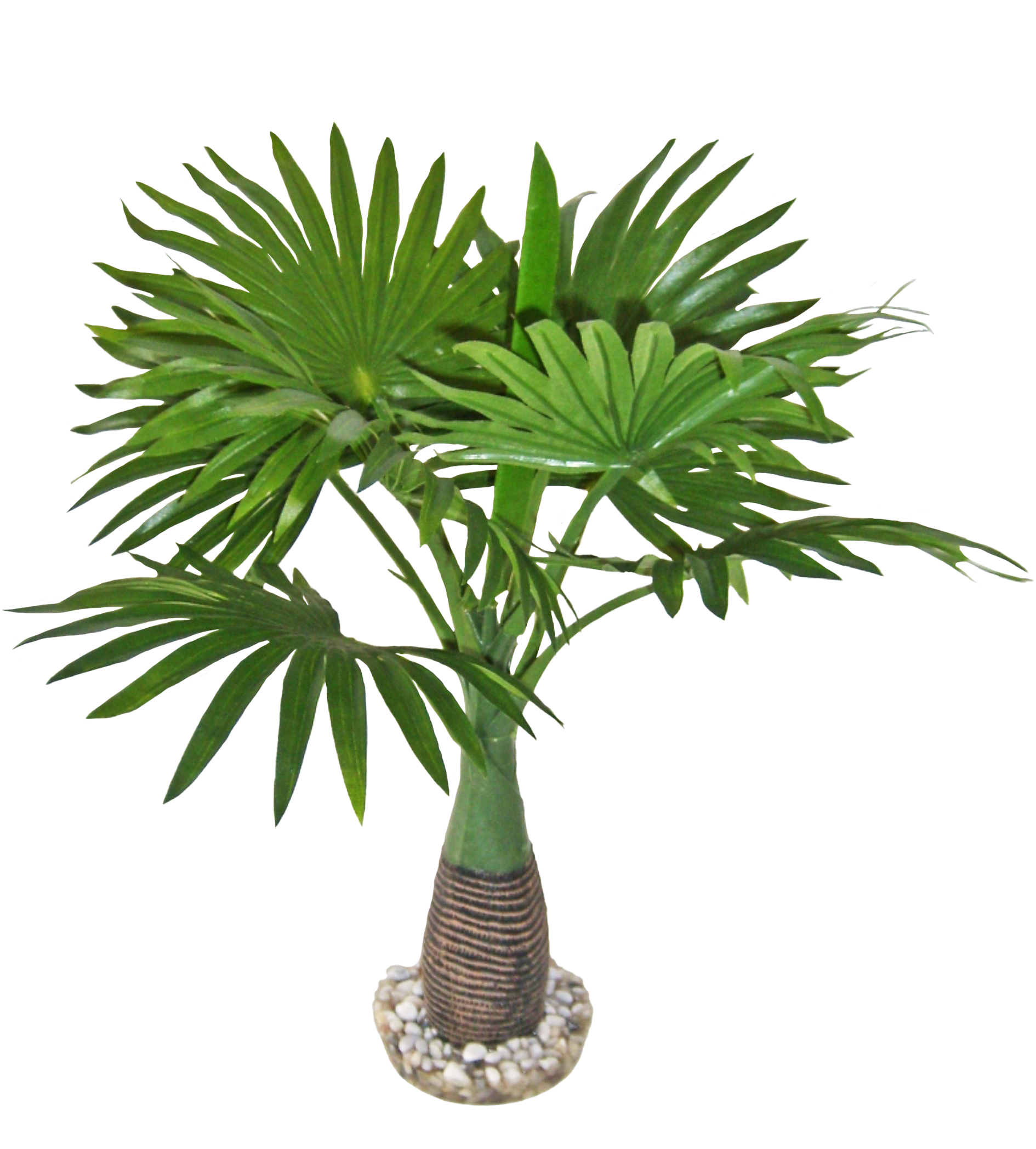Labéo - Labéo - Plante artificielle pour terrarium - H.37 cm