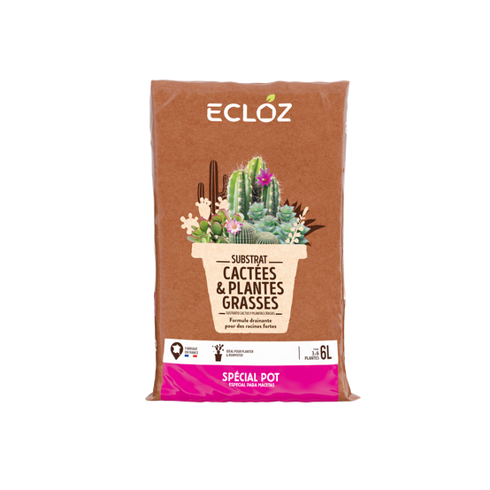 Ecloz - Terreau cactées 6L - ECLOZ - Image 2