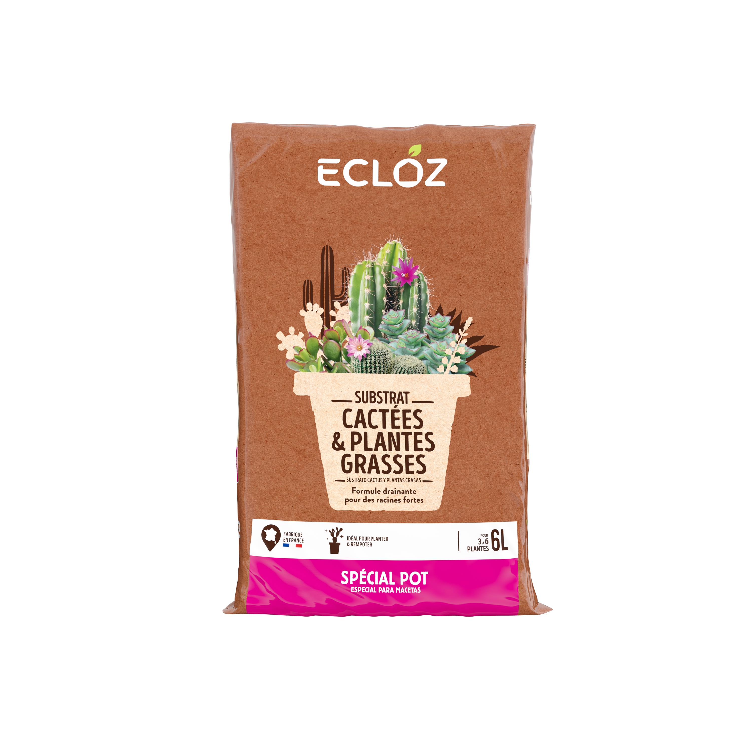 Ecloz - Terreau cactées 6L - ECLOZ - Image 2