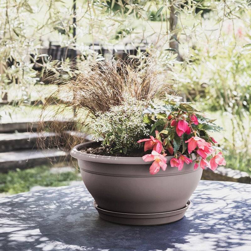 Coupe LOTUS taupe avec soucoupe clipsée polypropylène L.35 cm l
