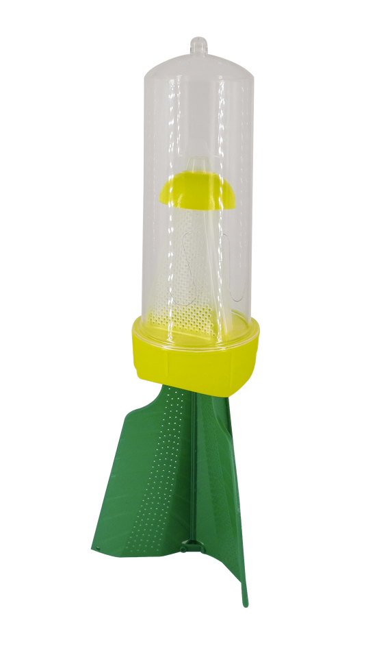 Biotop - Piège anti -punaises diaboliques avec entonnoir - BIOTOP - Image 2