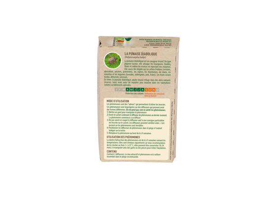 Greenapy - Phéromone punaise diabolique Halyomorpha halys 1 capsule - Greenapy - Image 3