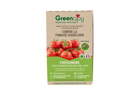 Greenapy - Phéromone punaise diabolique Halyomorpha halys 1 capsule - Greenapy - Image 1