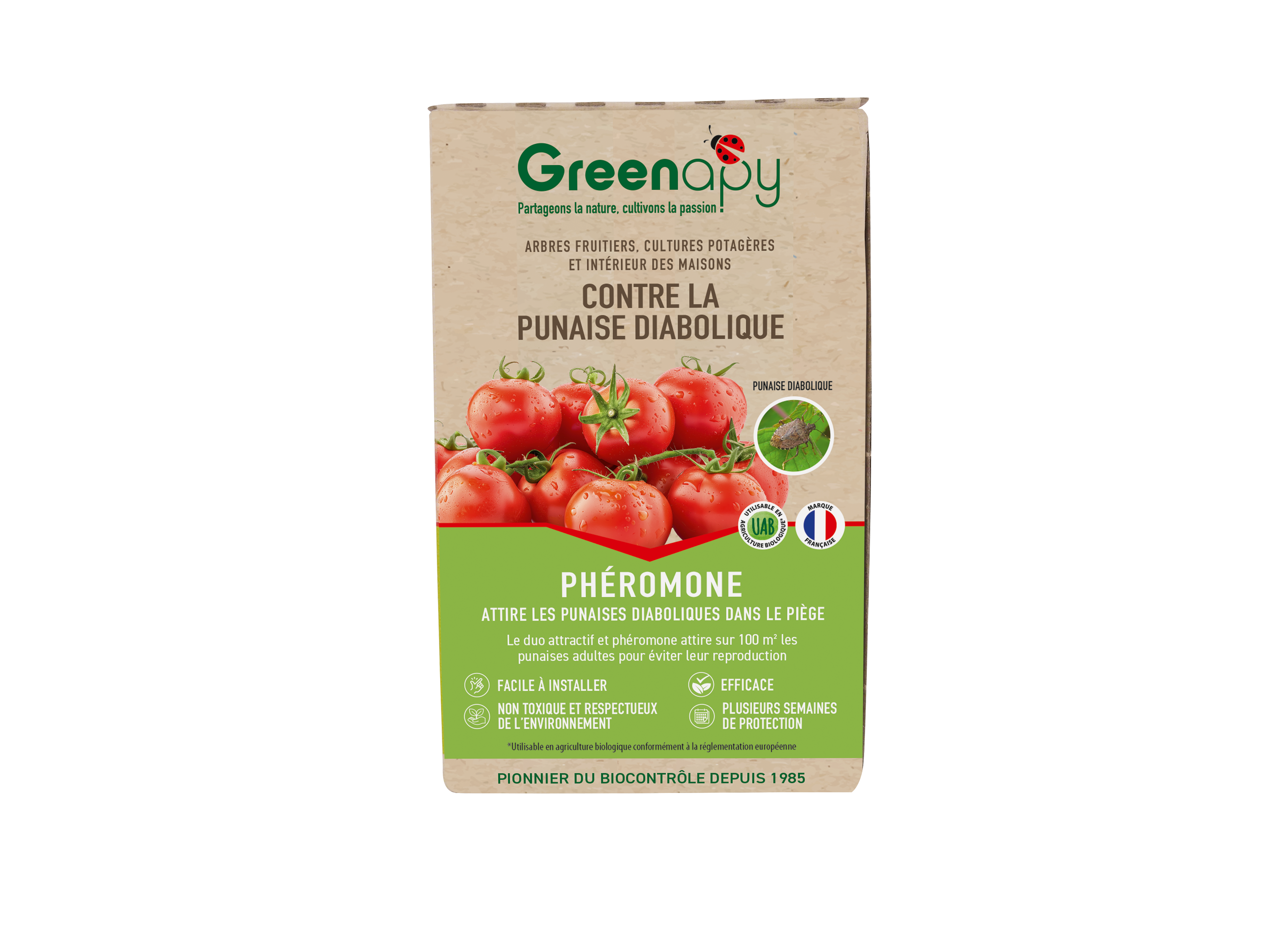 Greenapy - Phéromone punaise diabolique Halyomorpha halys 1 capsule - Greenapy