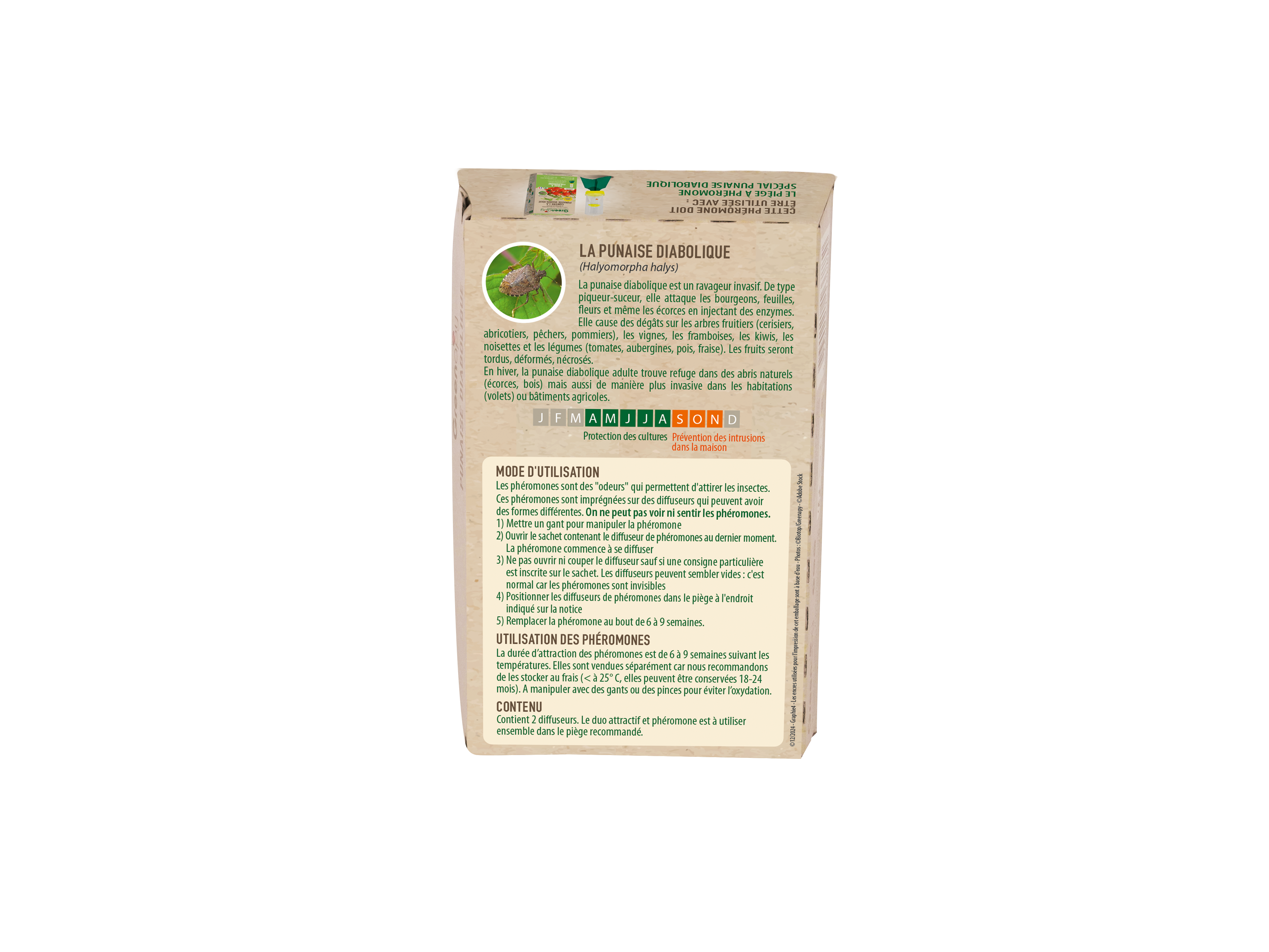 Greenapy - Phéromone punaise diabolique Halyomorpha halys 1 capsule - Greenapy - Image 2