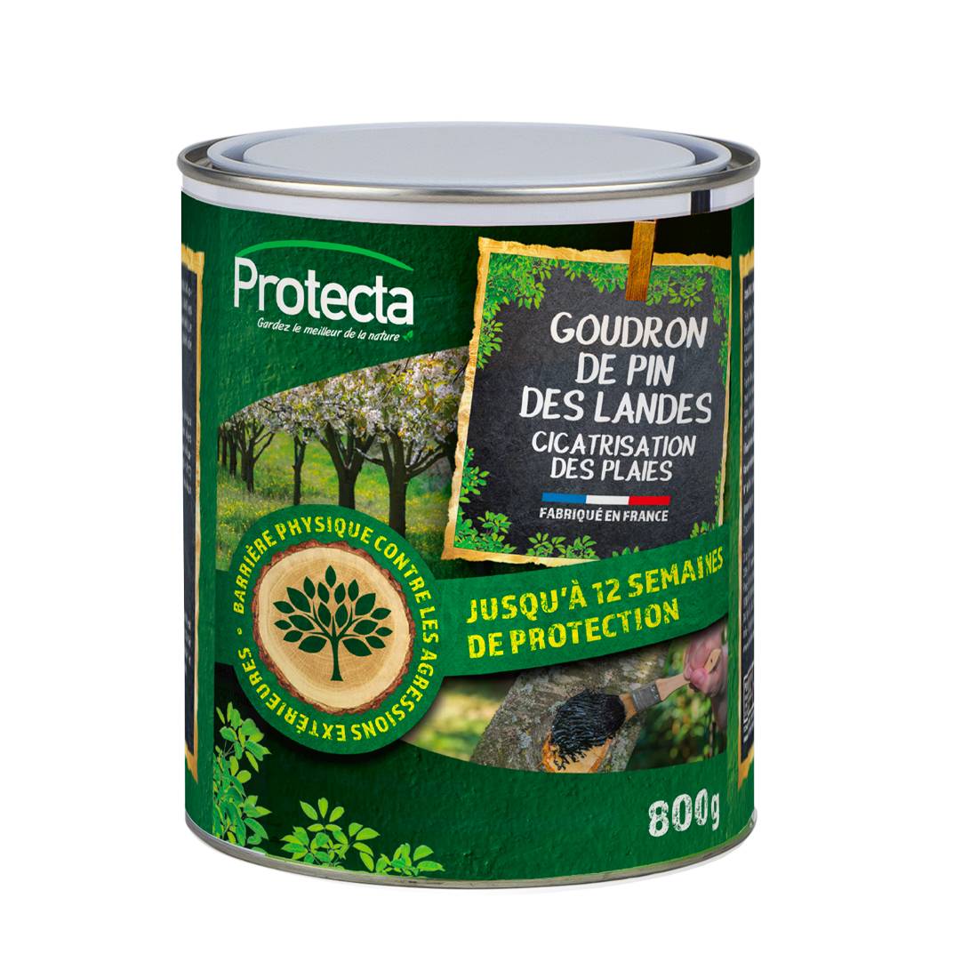 Protecta - Goudron de pin des landes 800g - Protecta