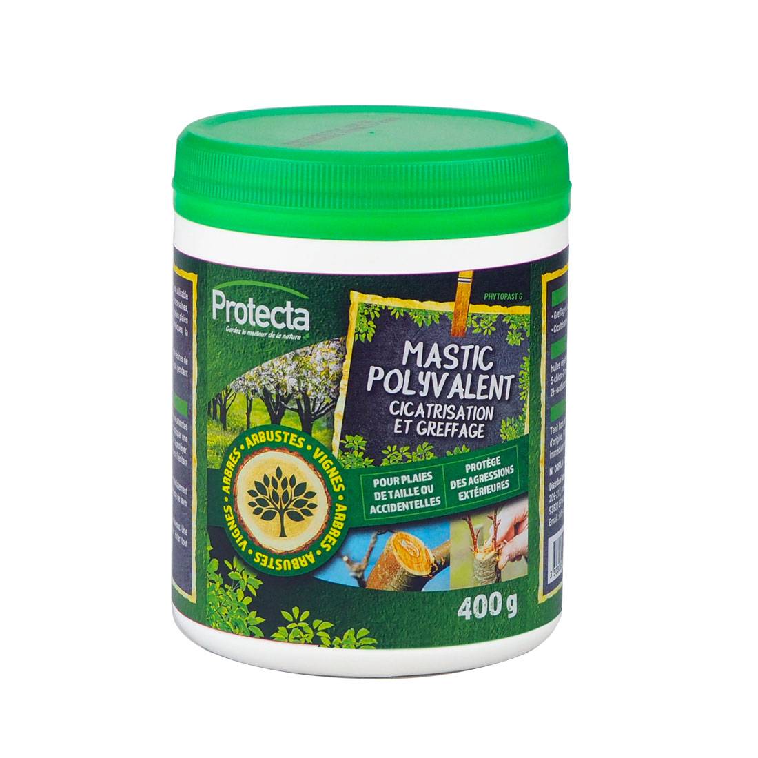 Protecta - Mastic polyvalent pot 400 g - Protecta