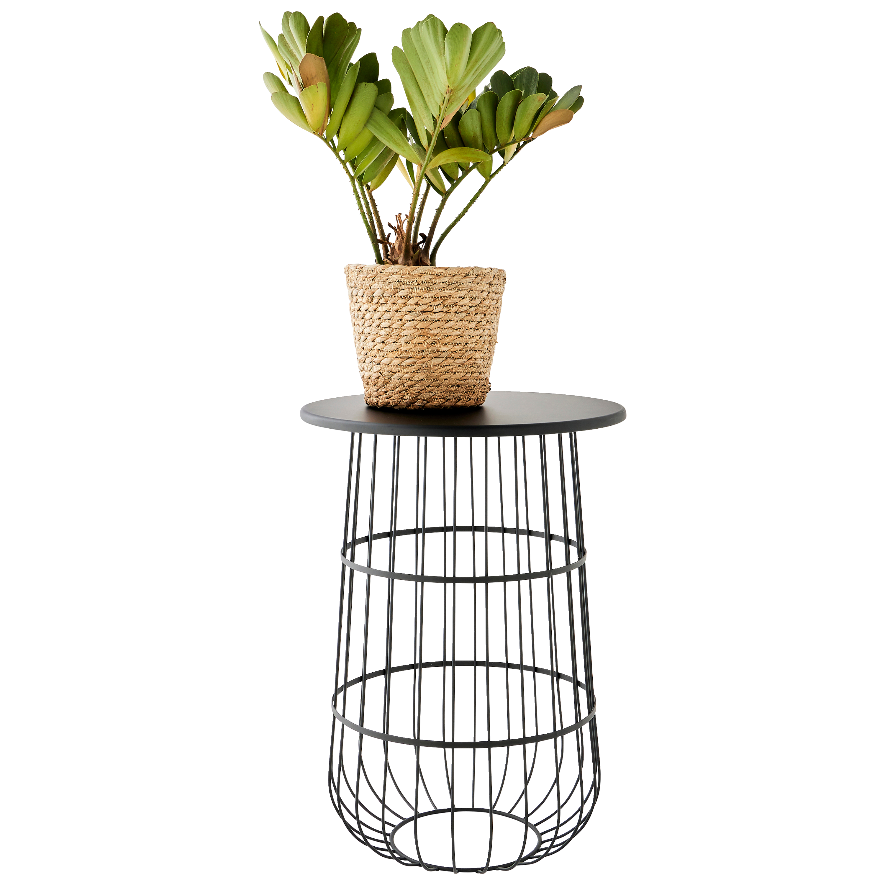 Ecloz - Porte-plantes rond filaire en métal noir H.54 cm - ECLOZ - Image 3