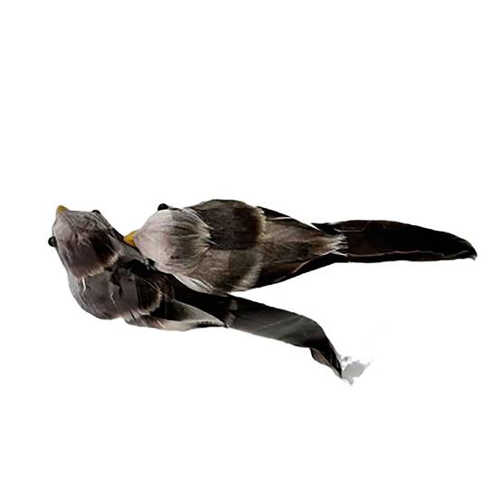 Lot de 2 clips oiseaux H.4 cm - ECLOZ - Image 1