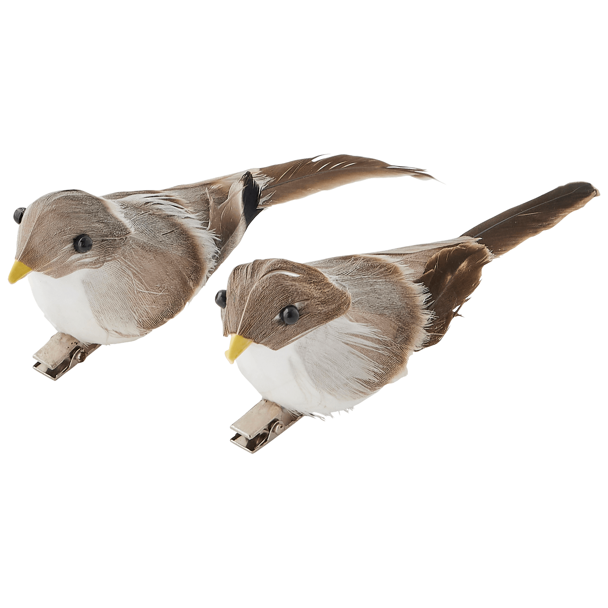 Lot de 2 clips oiseaux H.4 cm - ECLOZ - Image 2