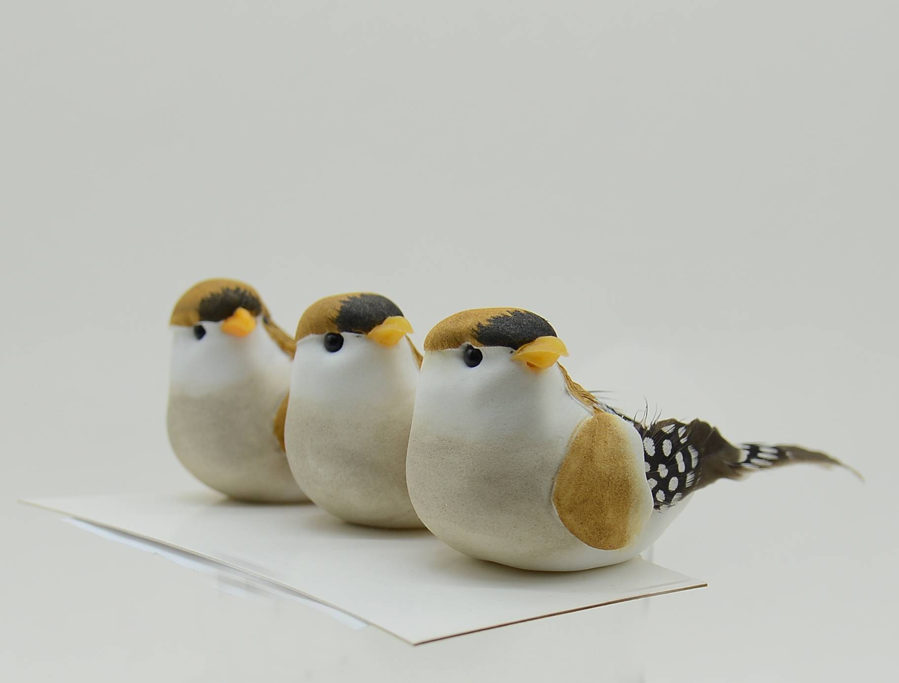 Ecloz - Assortiment de 3 clips oiseaux décoratifs de Noël en mousse - ECLOZ