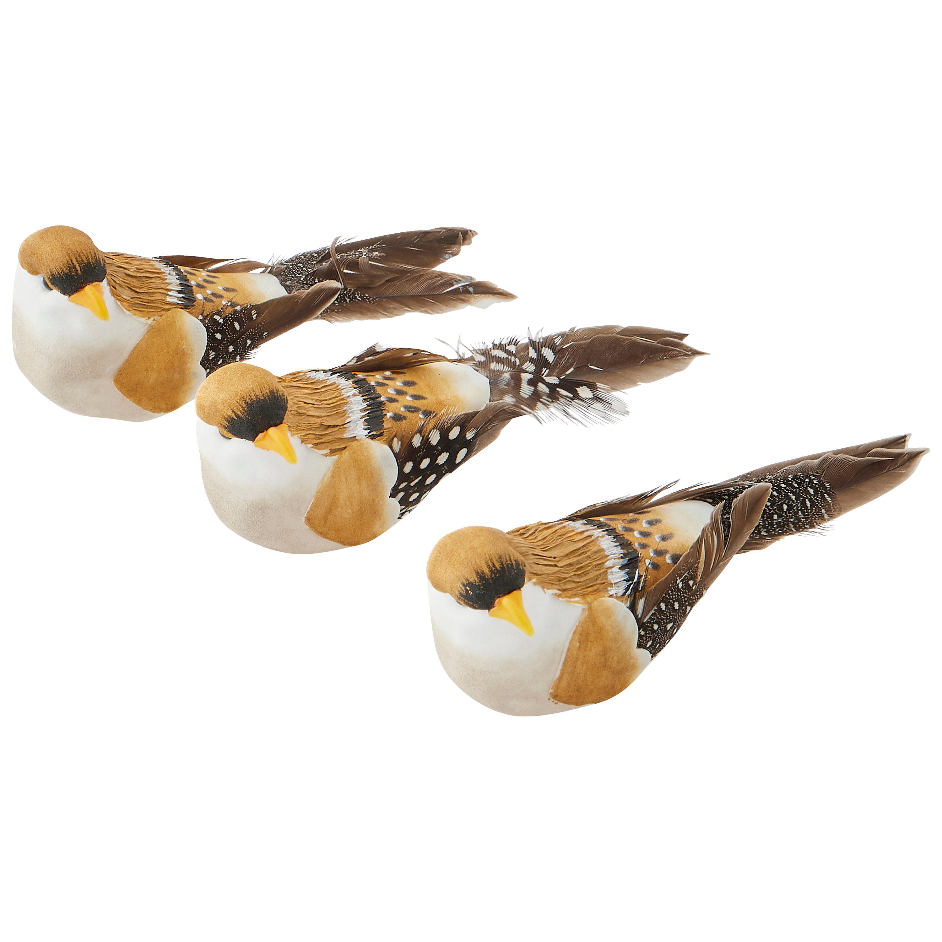 Ecloz - Assortiment de 3 clips oiseaux décoratifs de Noël en mousse - ECLOZ - Image 4