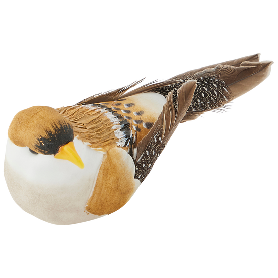 Ecloz - Assortiment de 3 clips oiseaux décoratifs de Noël en mousse - ECLOZ - Image 5
