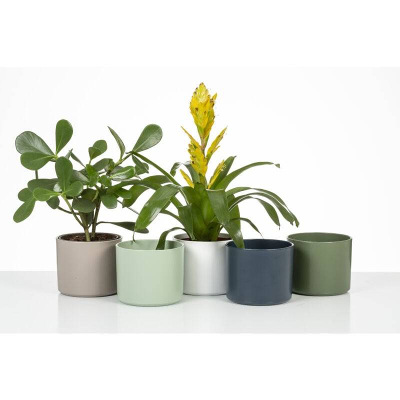 Scheurich Jarro, pot de fleurs en céramique, couleur: Blanco, 21,9 cm