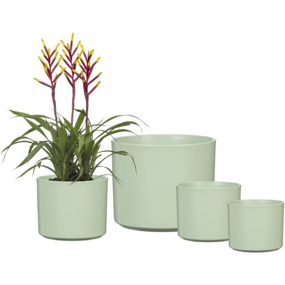 Scheurich Pot de fleurs en céramique, Couleur: Sage Green, 19 cm de diamètre, 17 cm de hauteur, 4 l de volume Scheurich Pot de fleurs en céramique, Couleur: Sage Green, 19 cm de diamètre, 17 cm de hauteur, 4 l de volume