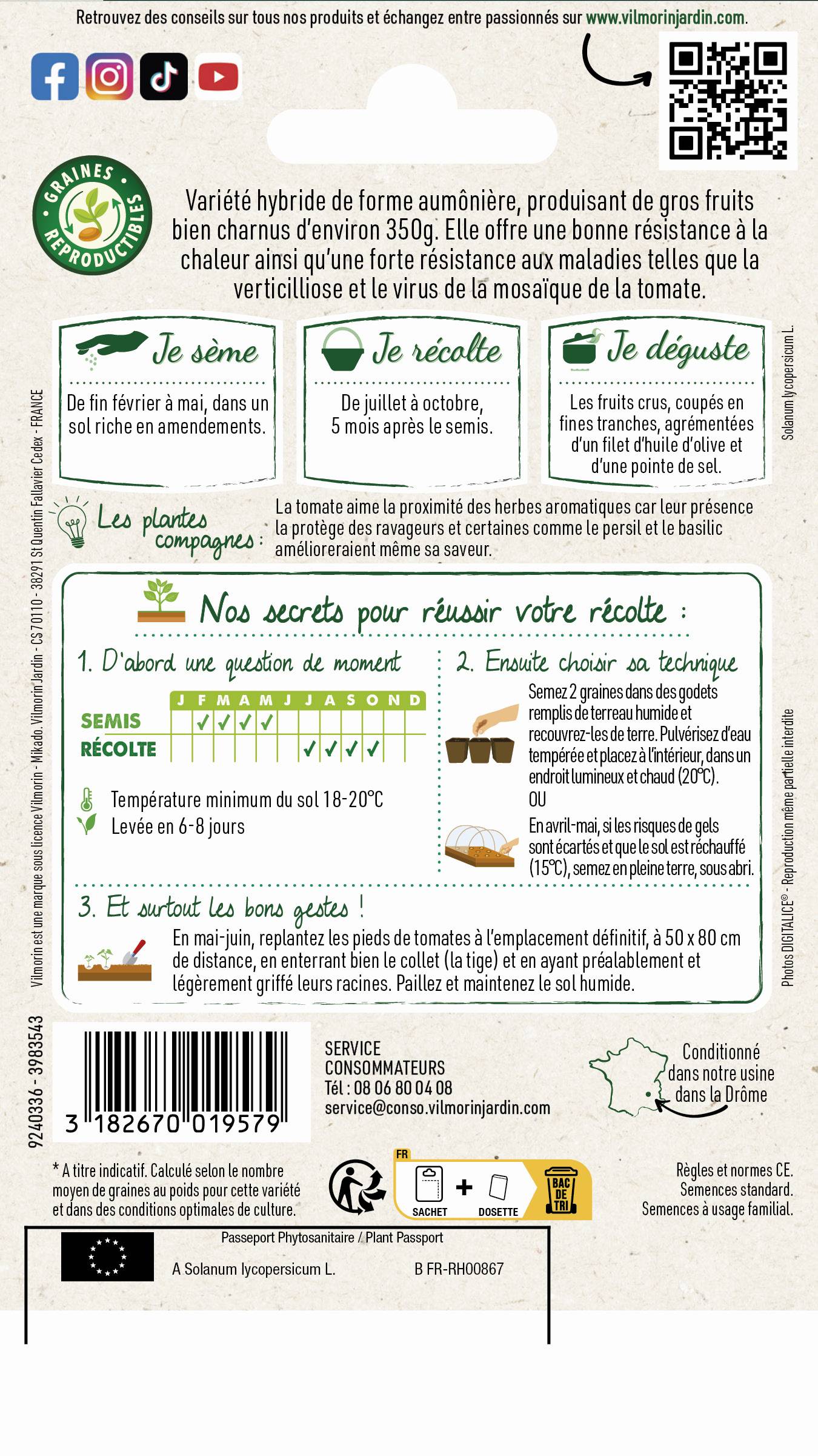 Vilmorin - Tomate Lanterna F1 serie 3 sachet graines 0,1 g - VILMORIN - Image 2