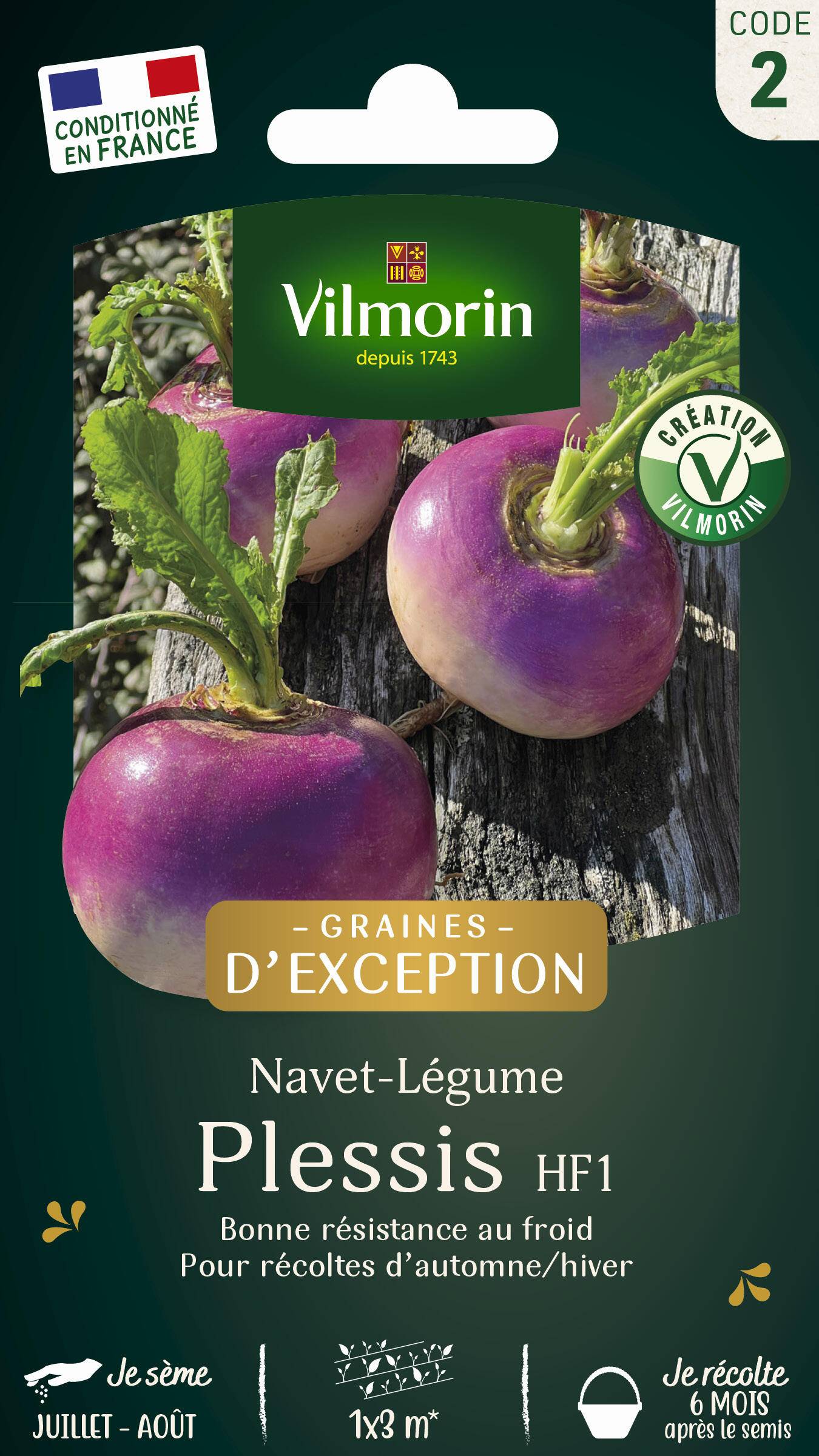 Vilmorin - Navet légume Plessis F1 Graines d'Exception série 2 sachet graines 1 g - Vilmorin - Image 1