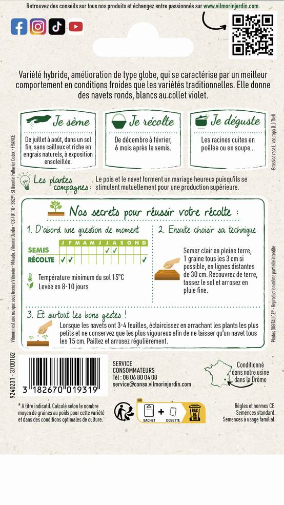 Vilmorin - Navet légume Plessis F1 Graines d'Exception série 2 sachet graines 1 g - Vilmorin - Image 2