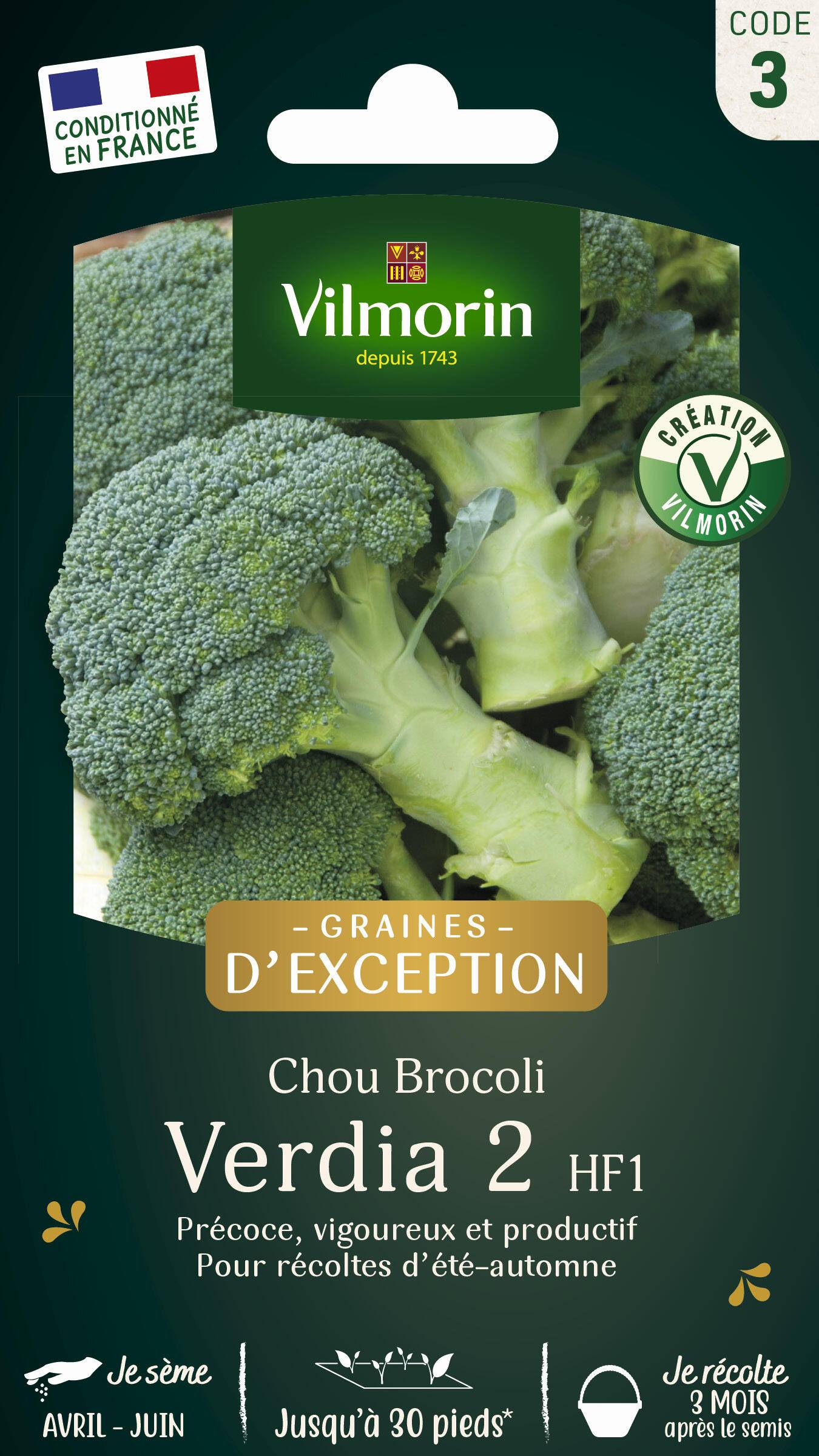Vilmorin - Chou Brocoli Verdia 2 HF1 Graines d'exception série 3 sachet graines 0,5 g - Vilmorin - Image 1