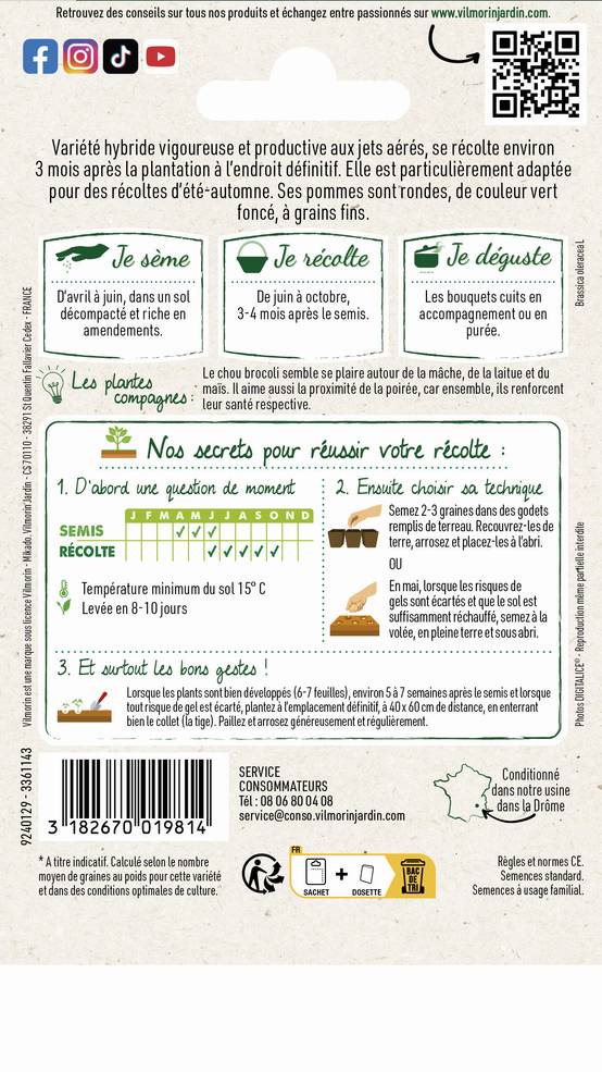 Vilmorin - Chou Brocoli Verdia 2 HF1 Graines d'exception série 3 sachet graines 0,5 g - Vilmorin - Image 2