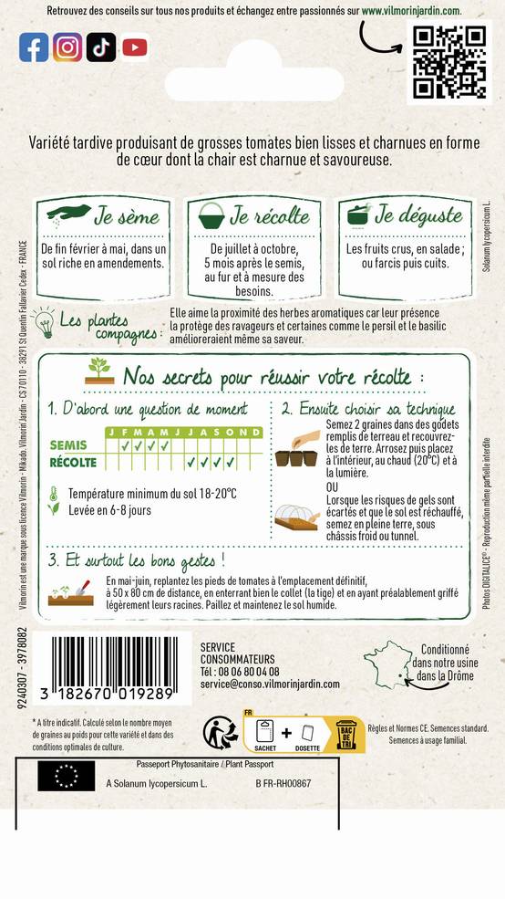 Vilmorin - Tomate Cuor Di Bue (Cœur de Bœuf) série 2 sachet graines 1,5 g - Vilmorin - Image 2