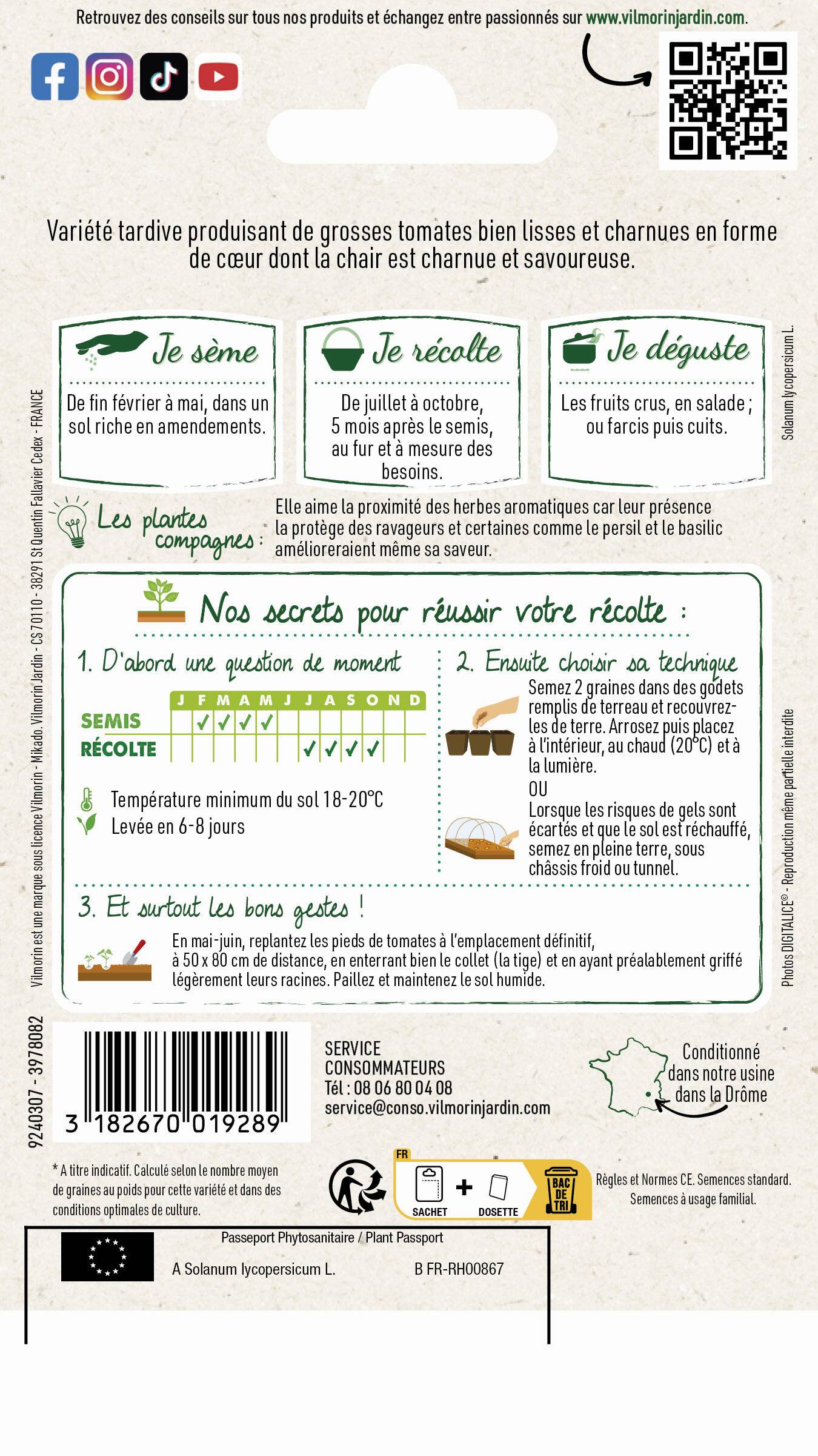 Vilmorin - Tomate Cuor Di Bue (Cœur de Bœuf) série 2 sachet graines 1,5 g - Vilmorin - Image 2
