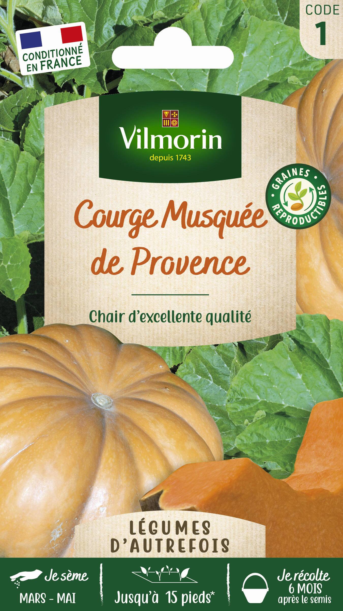 Vilmorin - Courge Musquée Muscade serie 1 sachet graines 3 g - Vilmorin - Image 1