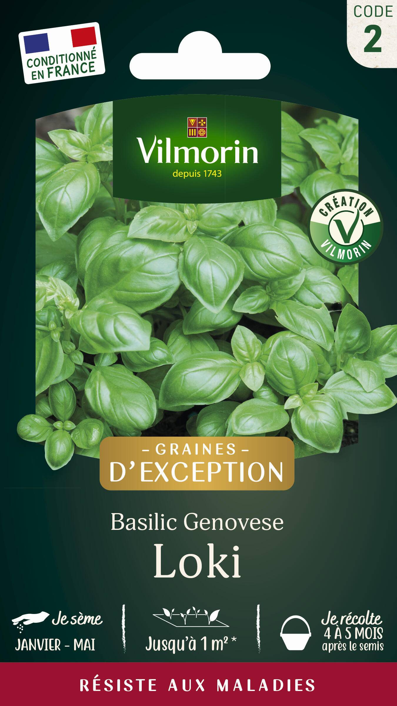 Vilmorin - Basilic Loki serie 2 sachet graines 0,3 g - Vilmorin - Image 1