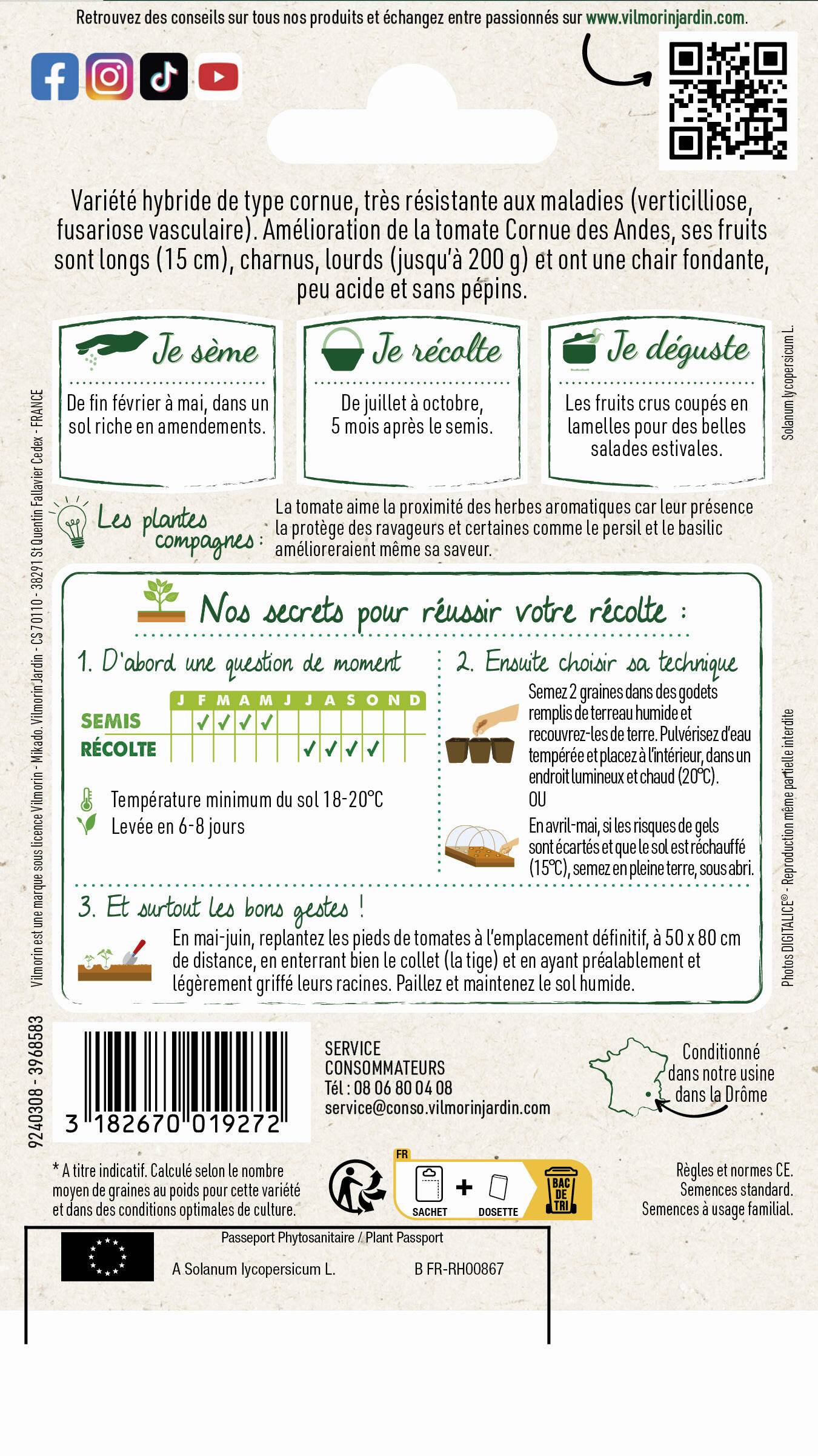 Vilmorin - Tomate Cornabel F1 serie 3 sachet graines 0,1 g - Vilmorin - Image 2