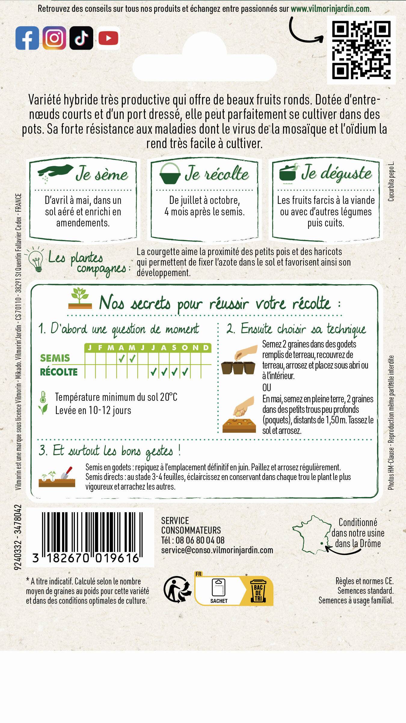 Vilmorin - Courgette Boldenice F1 serie 2 sachet graines 2 g - Vilmorin - Image 2