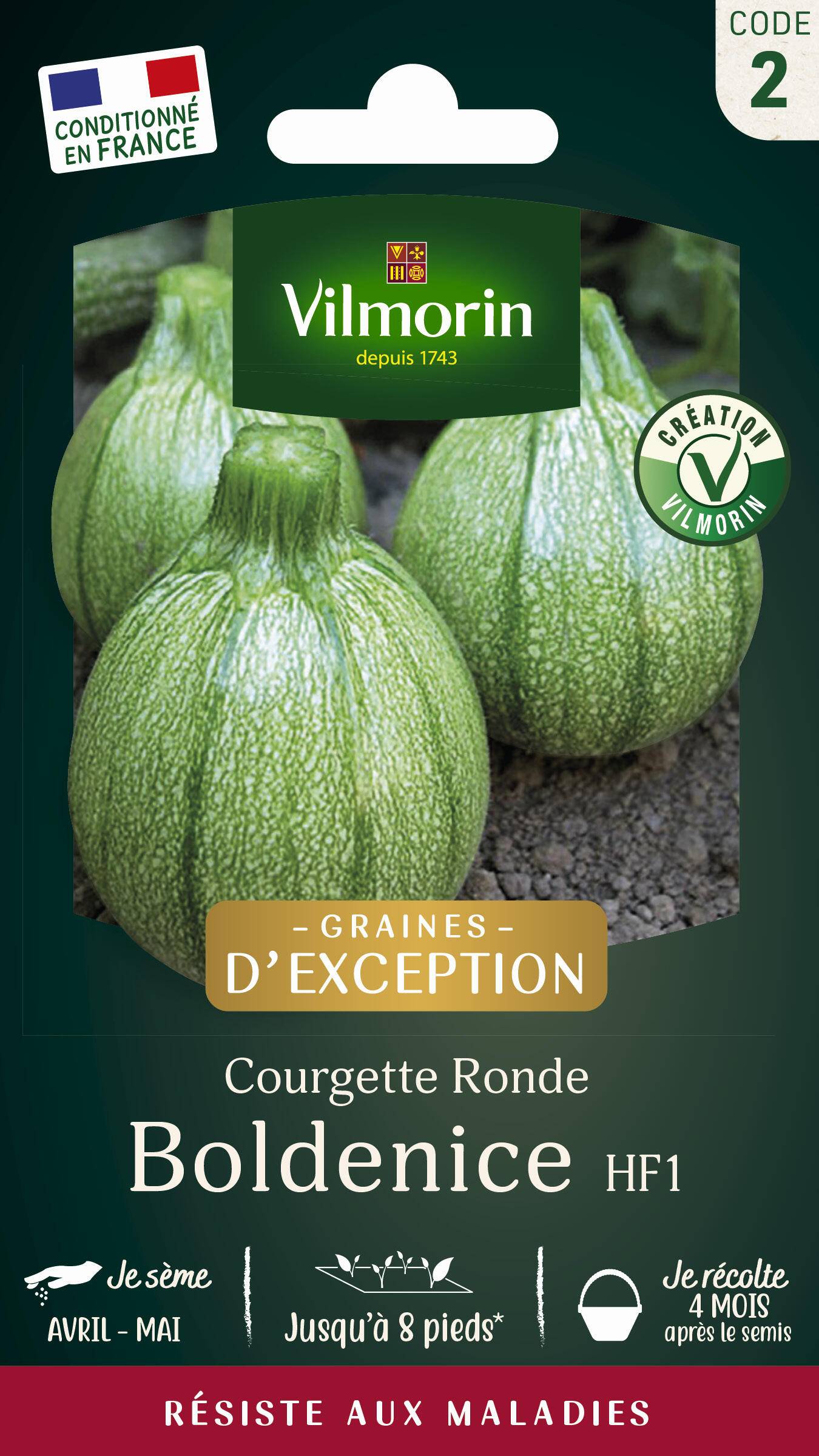 Vilmorin - Courgette Boldenice F1 serie 2 sachet graines 2 g - Vilmorin - Image 1