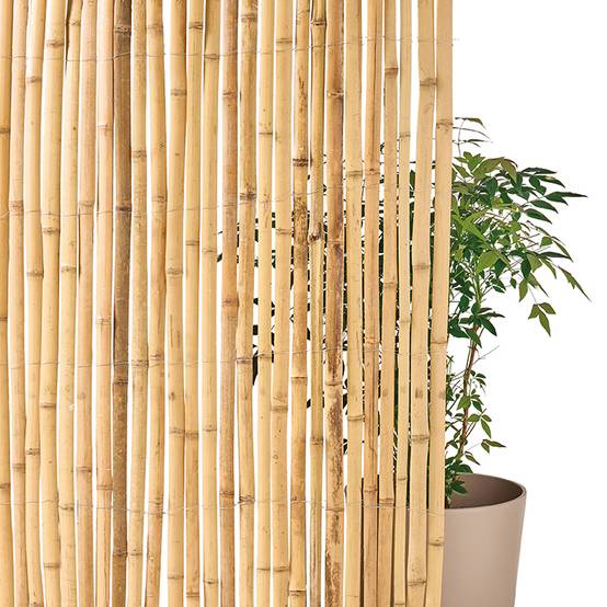 Ecloz - Canisse en bambou 2 x 3 m - ECLOZ - Image 1