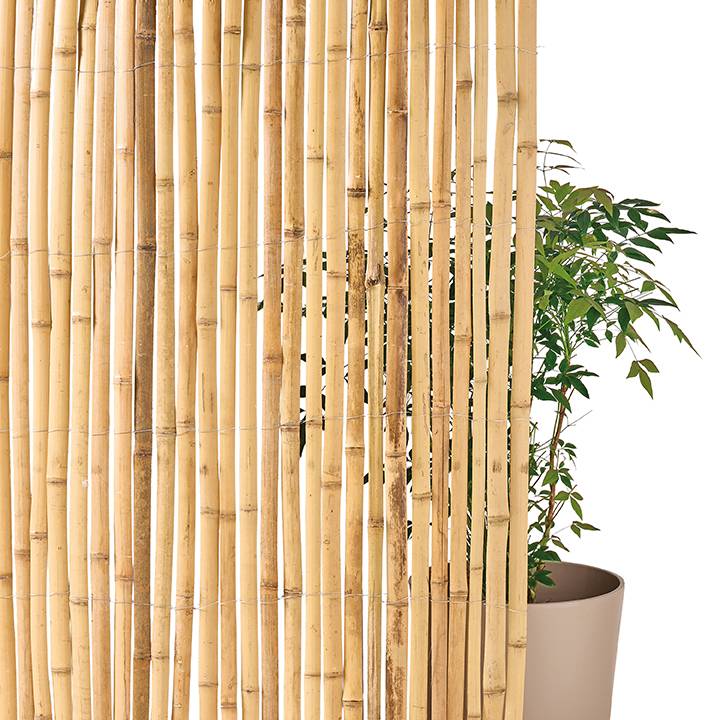 Ecloz - Canisse en bambou 1 x 3 m - ECLOZ - Image 1