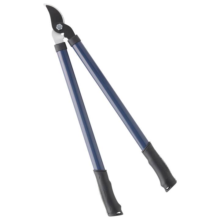 Coupe branches - Image 1