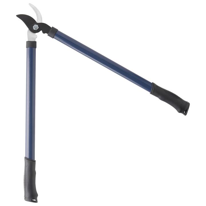Coupe branches - Image 7