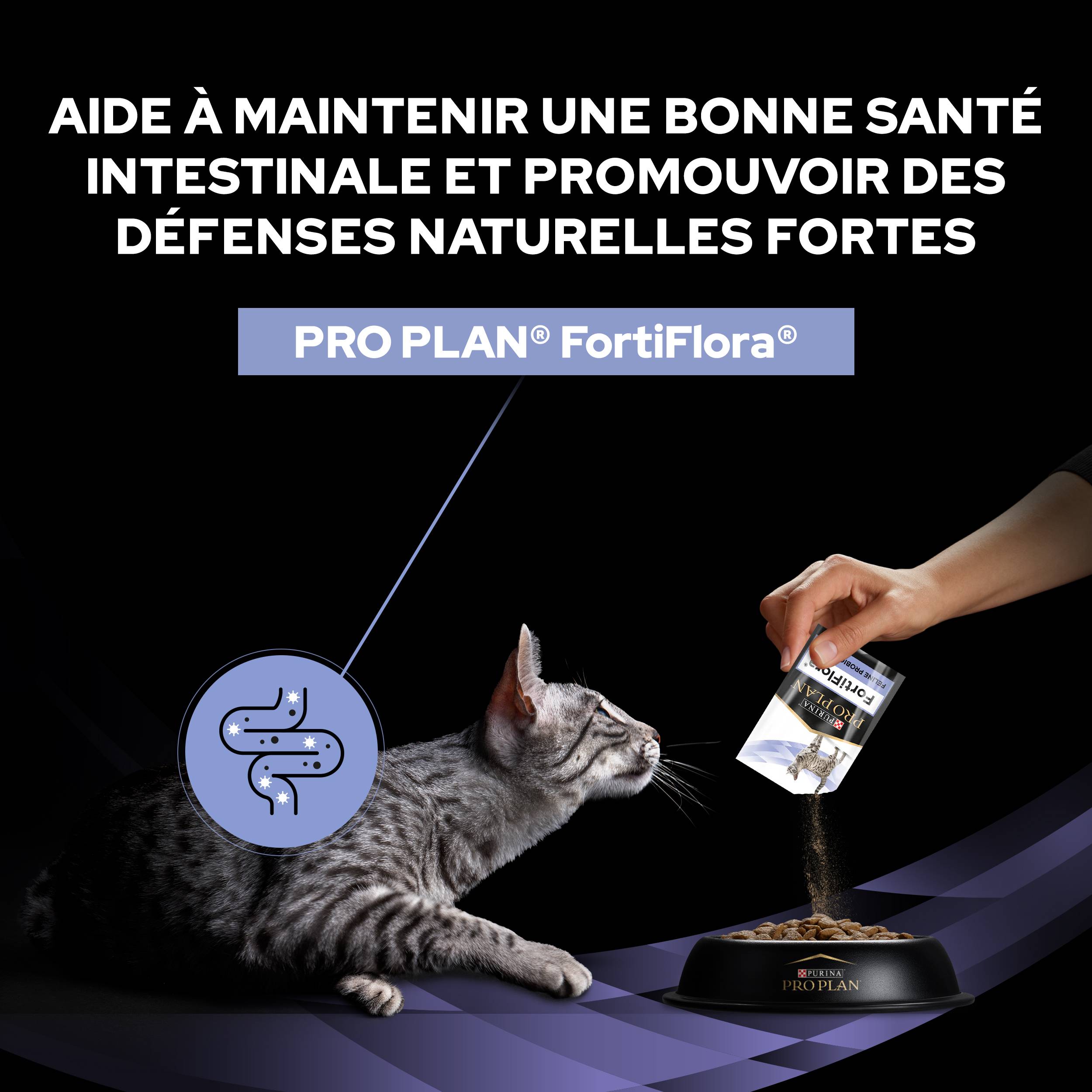 Purina Pro Plan - Un supplément probiotique diététique pour les chatons et les chats adultes - PRO PLAN - Image 11