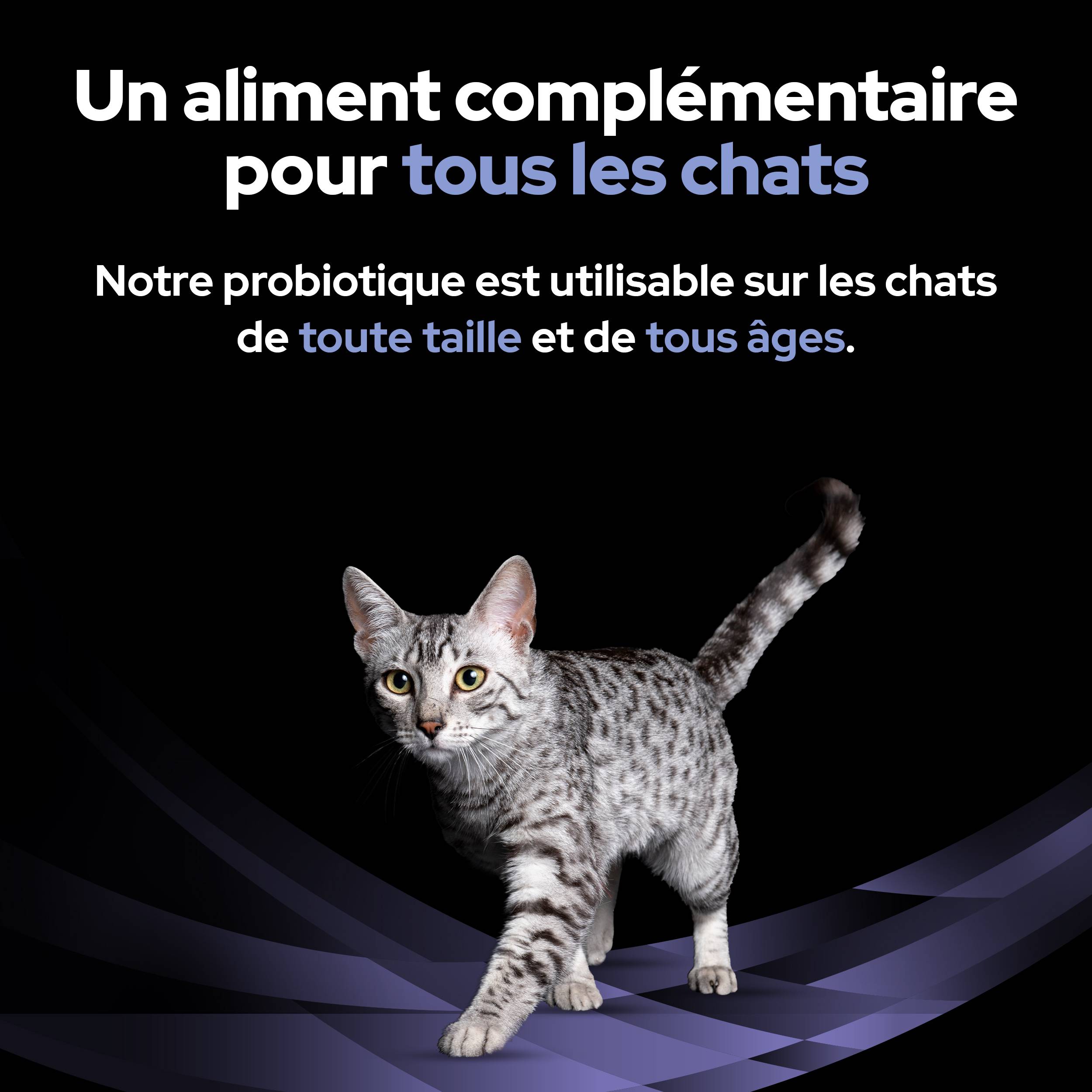 Purina Pro Plan - Un supplément probiotique diététique pour les chatons et les chats adultes - PRO PLAN - Image 7